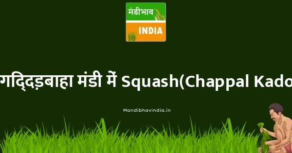 Squash(Chappal Kadoo) भाव